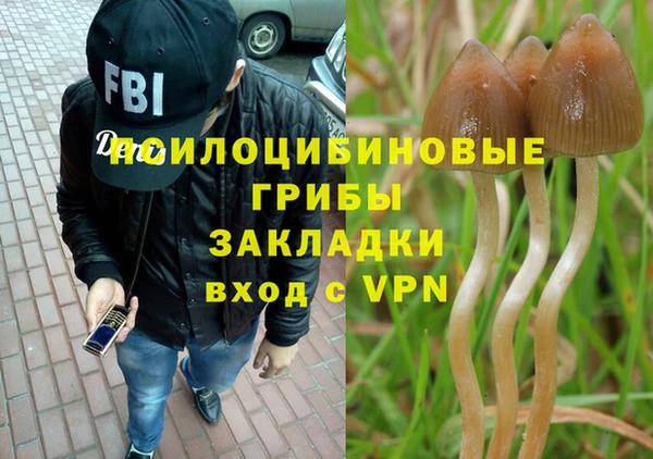 кристаллы Гусь-Хрустальный