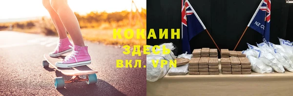 стаф Гусев