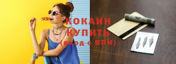 стаф Гусев