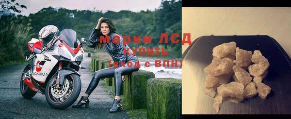 стаф Гусев