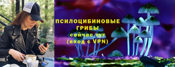 стаф Гусев