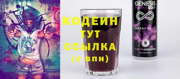 стаф Гусев