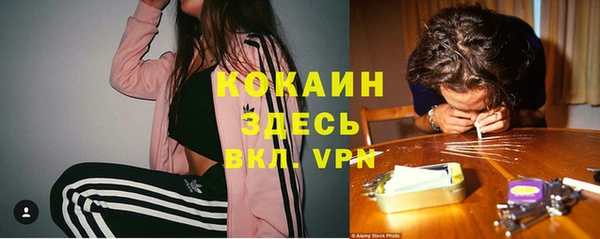 кристаллы Гусь-Хрустальный