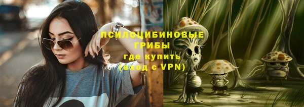 стаф Гусев