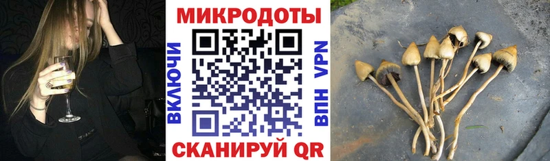 Псилоцибиновые грибы MAGIC MUSHROOMS  Купить где  Новочебоксарск 