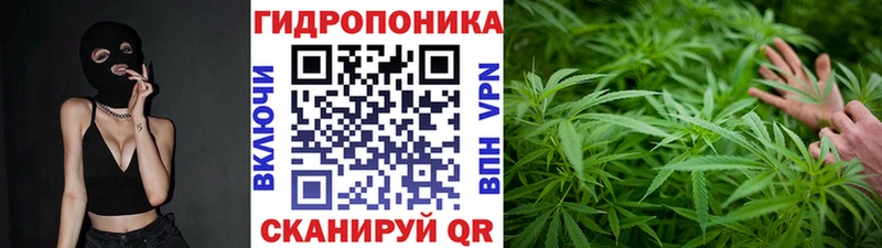 Марихуана THC 21% Купить где Новочебоксарск